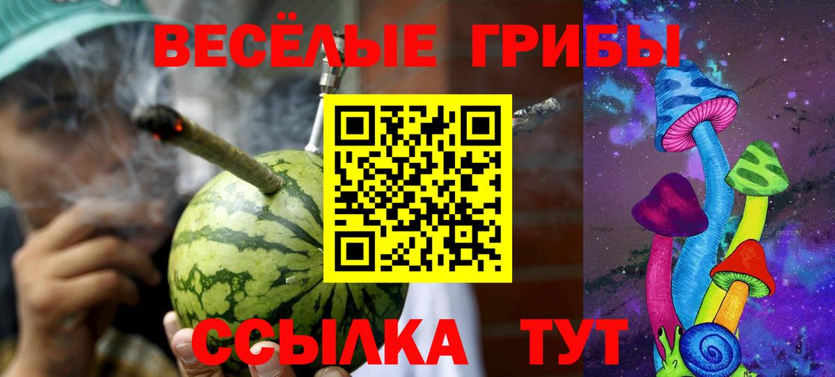 Псилоцибиновые грибы Psilocybe Ступино